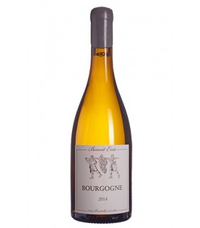 Bourgogne Chardonnay 2015 - Benoit Ente